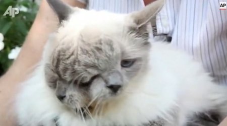 Погиб самый старый в мире 