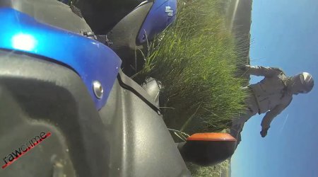 Муха спровоцировала страшное ДТП