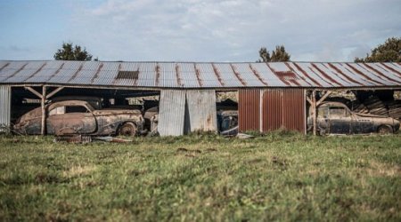 Qarajda unudulan 18 milyonluq sərvət - Fotolar