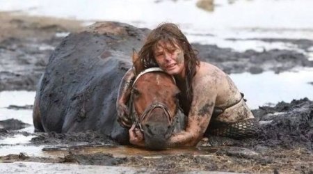 2014-cü ilin ən gözəl - Fotoşəkilləri