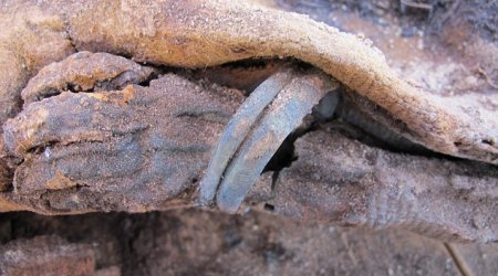 Cemetery with one MILLION mummies unearthed in Egypt