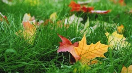 Baku weather forecast for Dec. 20