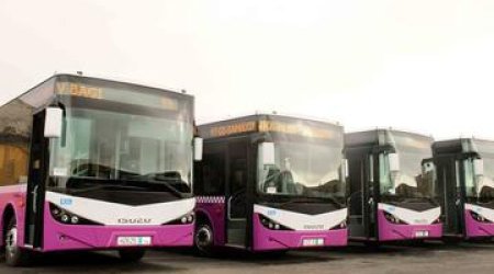 Routes of new buses in Baku made public