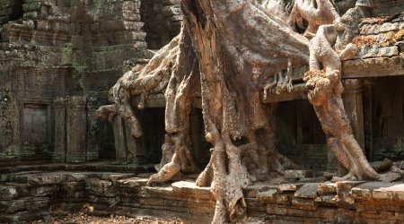 See the world in 26 days!