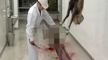 Rudolph's gruesome fate