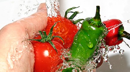 IFC helps promote food safety standards in Azerbaijan