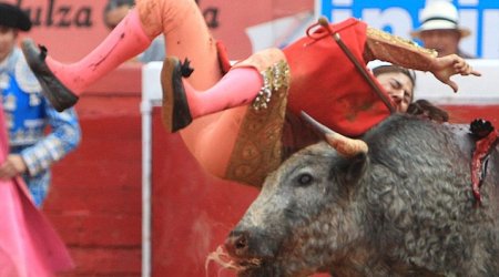 Female bullfighter gored TWICE by the same animal