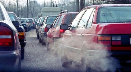 Sürücülərə şad xəbər