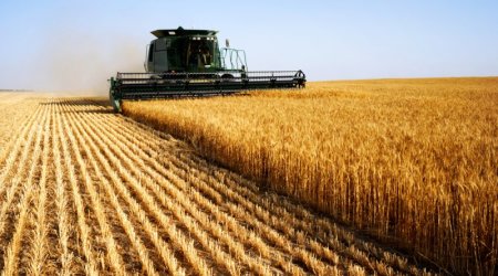 Azerbaijan to increase grain reserves