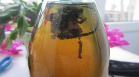 В  лимонаде найдена мышь