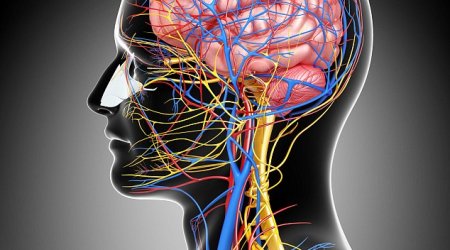 How your brain can heal your body