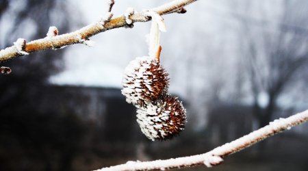 Views of winter in Azerbaijan