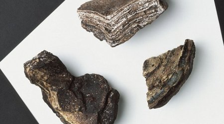 Whale vomit is an APHRODISIAC