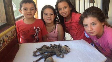 Farmer says he has found remains of two mysterious 'Chupacabra' creatures