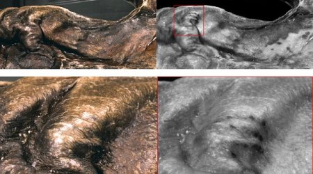 Ötzi the iceman's hidden tattoos uncovered