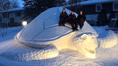 Brothers spend 300 HOURS building giant 12 foot turtle