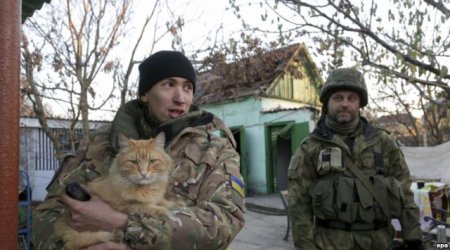 Ukrayna separatçılarla danışıqlara ümid edir