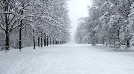 Baku weather forecast for Feb.10