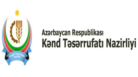 Azərbaycanda Belçika pendiri istehsal olunacaq