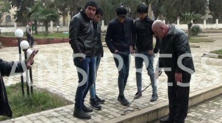 Джалилабадский парк наводнили змеи