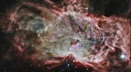 Did the Big Bang ever happen?