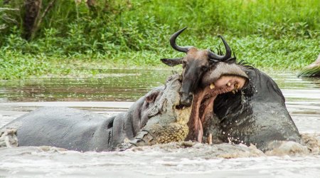 Think YOU'RE having a bad day?