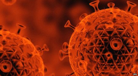 HIV vaccine that transforms cell DNA brings fresh hope