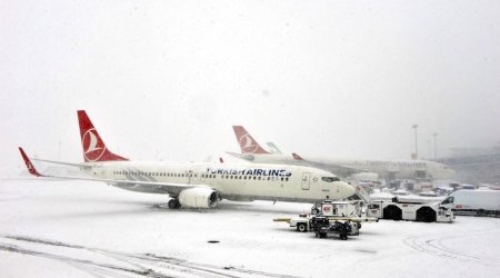 All Baku-Istanbul flights for today suspended
