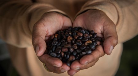 The science that proves why coffee is basically the best thing ever