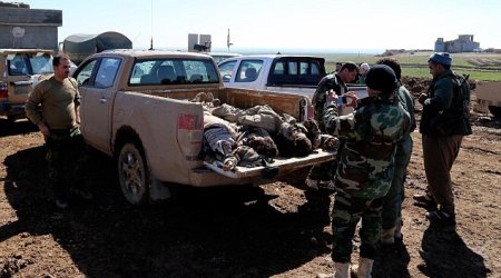 Bodies of ISIS terrorists piled onto pickup truck