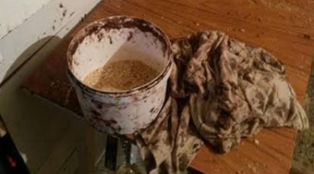 Azərbaycanda konfet sexindən iyrənc görüntülər - Fotolar