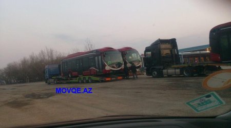 Новые автобусы для Евроигр