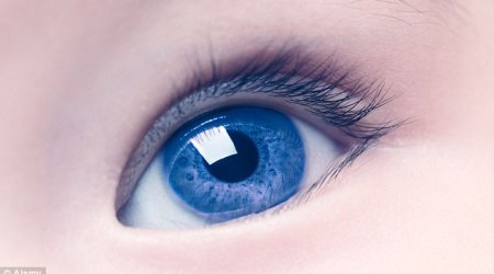 Could our ancestors see blue?