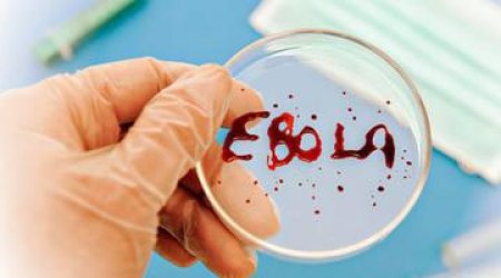 Azerbaijan to allocate $1m to fight Ebola