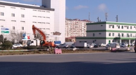 Количество полос вокруг круга  