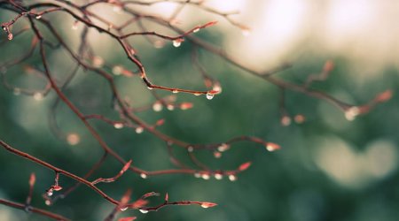 Baku weather forecast for March 18