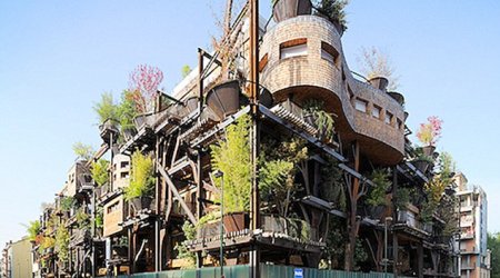 Italian architect designs wooden treehouse