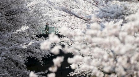 Around the world, in photos