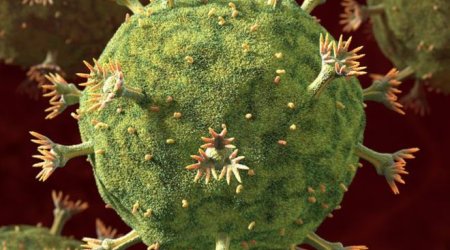 HIV: new approach against virus holds promise