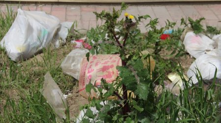 Güllü-çiçəkli və ... zibilli parklarımız - FOTOLAR