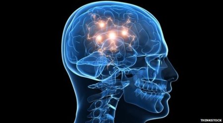 Dementia 'halted in mice brains'