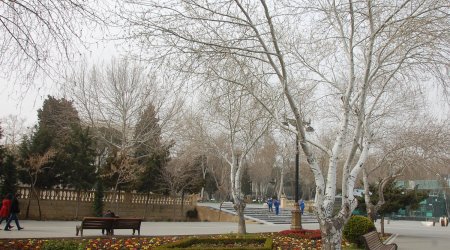 Baku weather forecast for April 17