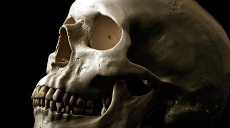 Our ancestors really were cannibals