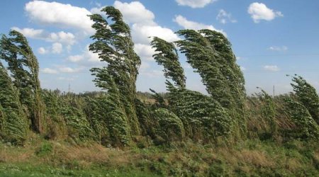 Baku weather forecast for April 21