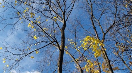 Baku weather forecast for April 22