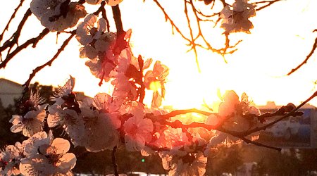 Baku weather forecast for April 25