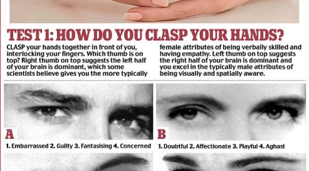 Do you have a male or female brain?