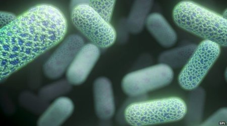 Most countries not protecting antibiotics, says WHO