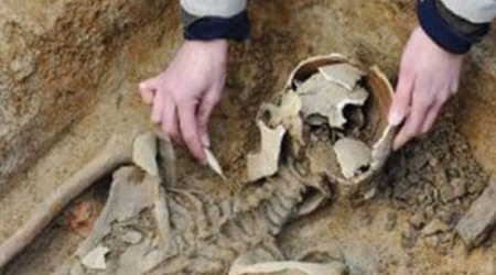 На «Торговой» обнаружены человеческие кости