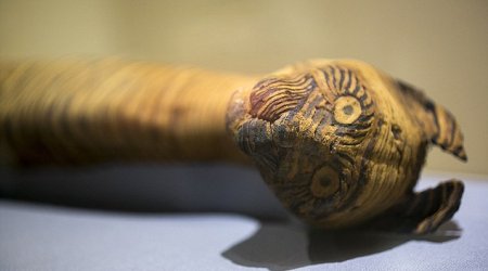 The FAKE mummies